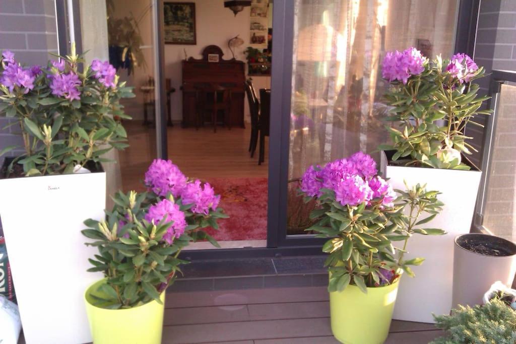 Peaceful Stay/Heart Of Gdansk/Unforgettable Ngoại thất bức ảnh